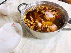 药膳乳鸽-百利鸽王(紫薇路店)