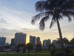 -野狸岛