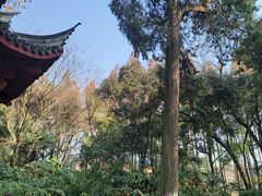 -采石矶景区