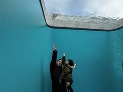 -金泽21世纪美术馆