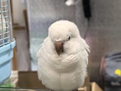 -重庆国际会议展览中心