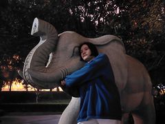 -苏州河梦清园环保主题公园