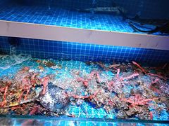 -花西亭·海鲜自助餐厅(瑞城名人酒店)