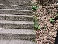 -花溪风景区