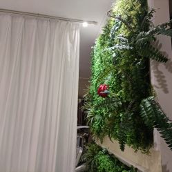 -香秀空间科技抗衰·美容中心