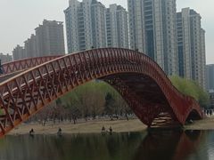 -长白岛森林公园