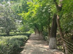 -虞山风景区