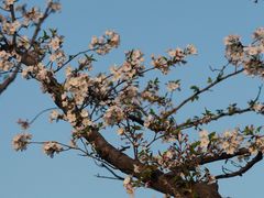 -宁波儿童公园(鄞州区)