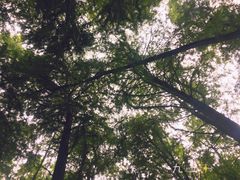 -乌镇东栅景区