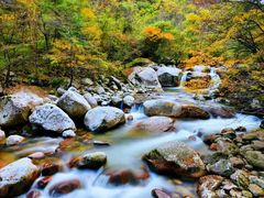 -青峰峡国家森林公园