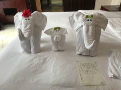 -三亚亚龙湾雅高铂尔曼别墅度假酒店