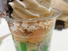-Salud撒露欧洲冻酸奶(798艺术区店)