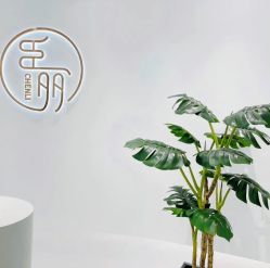 -臣丽纹眉全国连锁