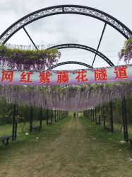 -水八仙生态园
