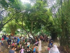-成都市活水公园