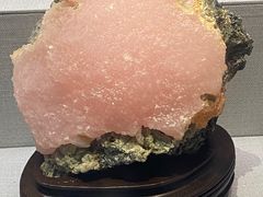 -湖南省地质博物馆