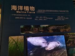 -青岛海底世界-水族馆