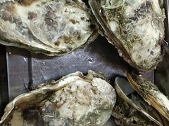 -蚝得喜海鲜(东城店)