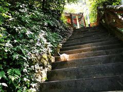 -綦江古剑山
