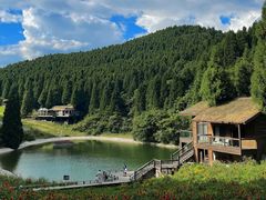 -武陵山森林公园