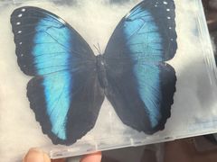 -老昌春饼(松北店)