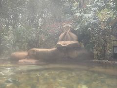 -天目湖涵田半山温泉水乐园