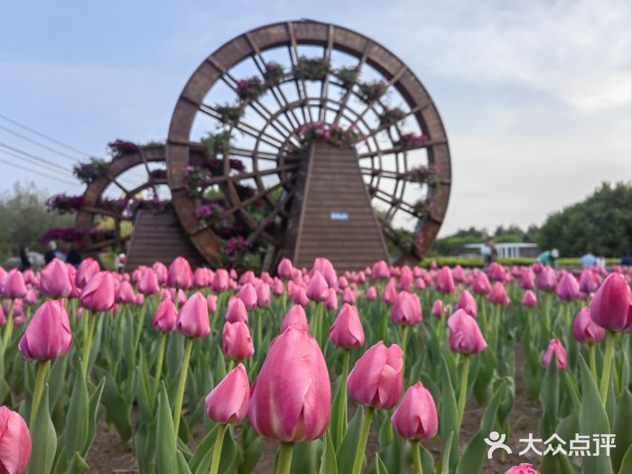 长春公园(普阳街道)图片