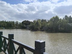 -上海长兴岛郊野公园