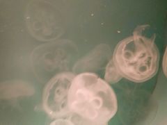 -常州海昌海洋探索馆