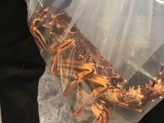 -金唐海鲜酒家