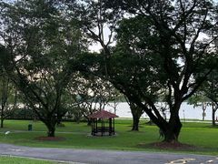 -文东记(马里士他店)