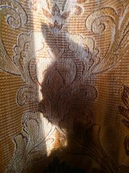 -飛凡TATTOO纹身•原创