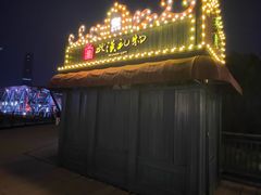 -武汉知音号