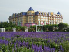 -广州花之恋城堡酒店