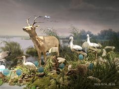 -湖南省地质博物馆