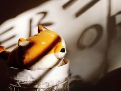 -五进制 Coffee Shop