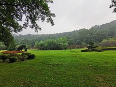 -棒棰岛宾馆景区