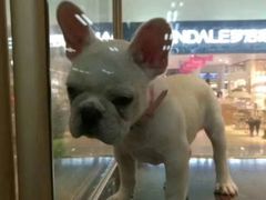 -乐宠宠物店(世纪金源店)