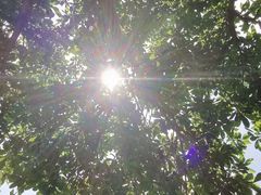 -艾溪湖湿地公园