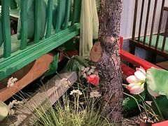 -荷塘秋月·本帮江浙菜(国权路店)