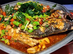 -马邦子·紫苏烤鱼(恒隆广场店)