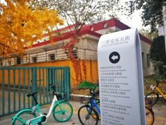 -三里屯东五街银杏大道