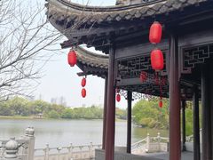 -梅园