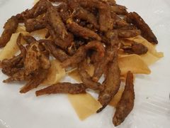 美极山坑鱼-姚林轩