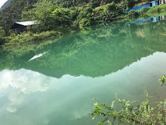 -羚羊峡古栈道森林公园