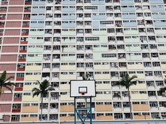 -彩虹村
