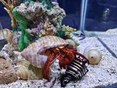 -太平洋海底世界