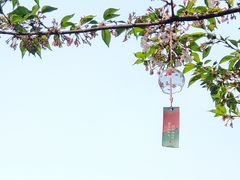 -堤角公园