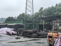 -土砂锅生态山庄·非遗砂锅雅鱼