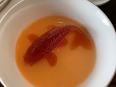 热情果布丁-甄御•海鲜新青岛菜(麦岛店)